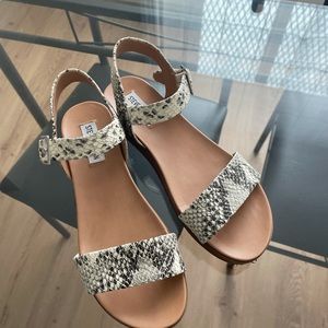 Steve Madden Snakeskin Sandals Size 7